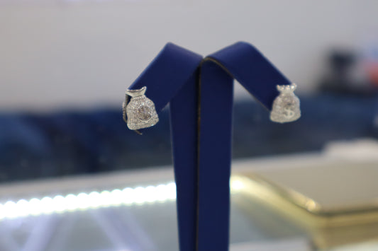 Silver Dollar Earrings